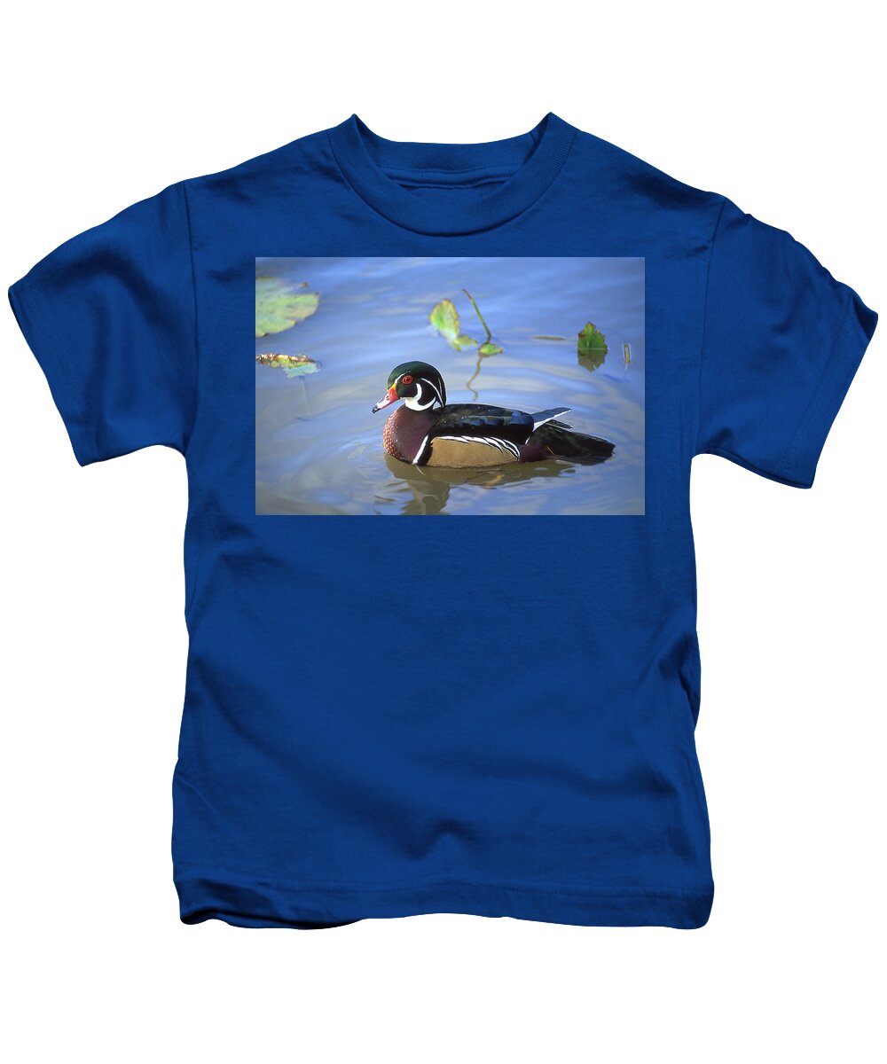 Wood Duck Kids T-Shirt featuring the photograph Male Wood Duck by Dale Kincaid