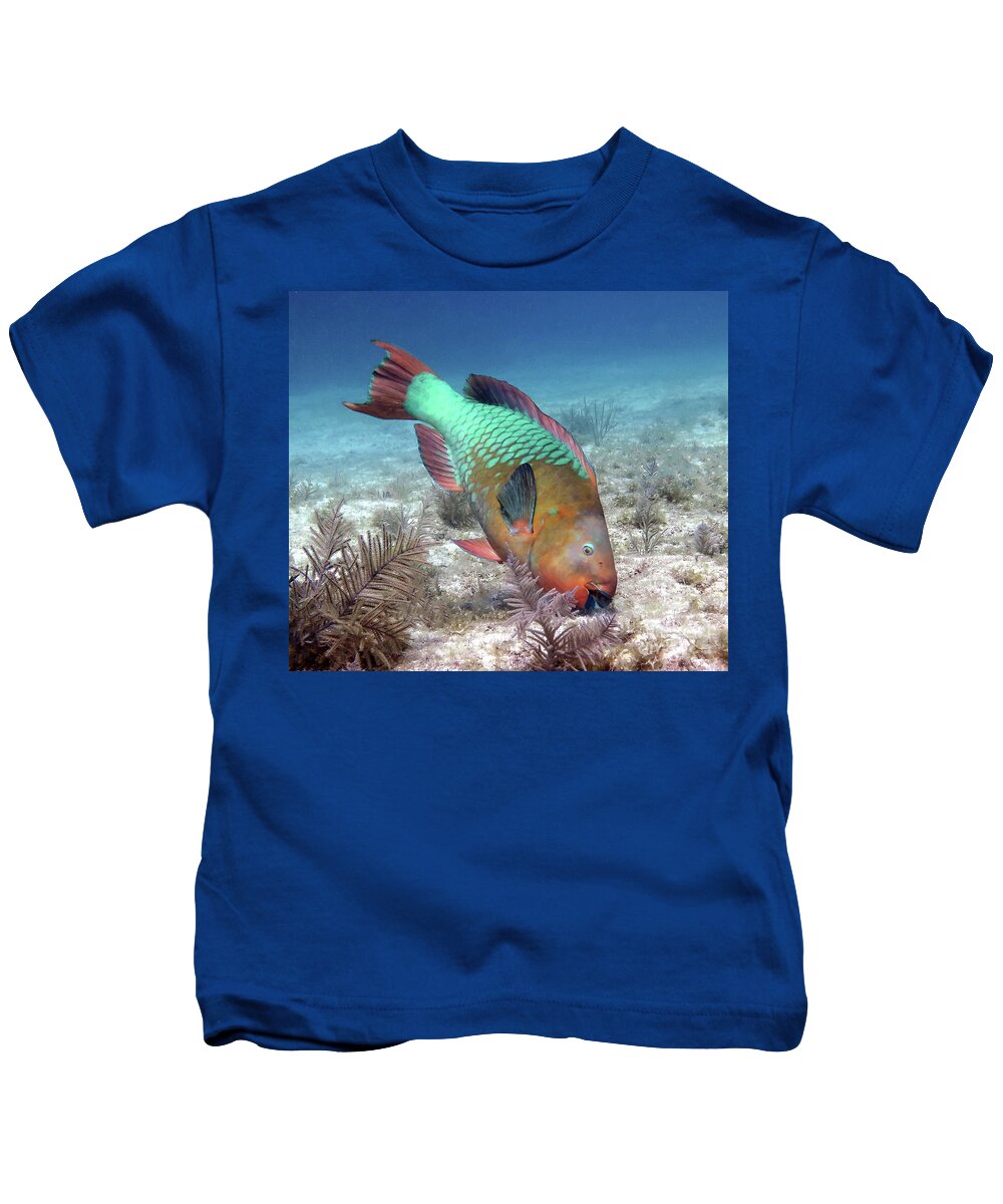 Underwater Kids T-Shirt featuring the photograph Rainbow Parrotfish 15 by Daryl Duda
