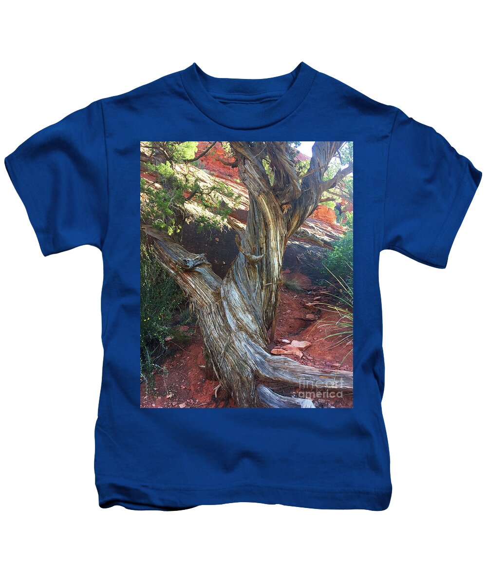 Tree Kids T-Shirt featuring the photograph Survivor in blue by Jacqueline Shuler