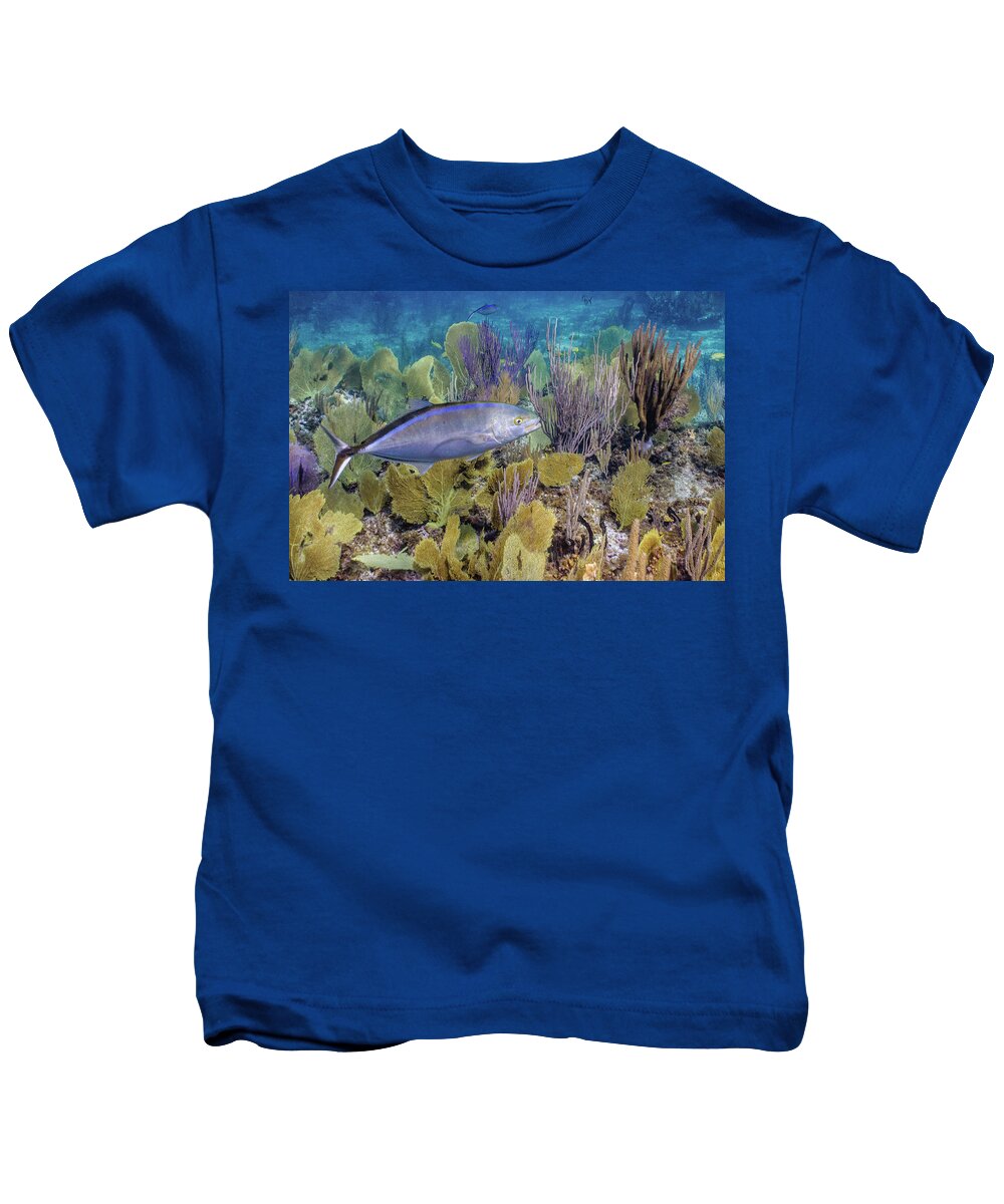 Animals Kids T-Shirt featuring the photograph The Bar Crossing by Lynne Browne