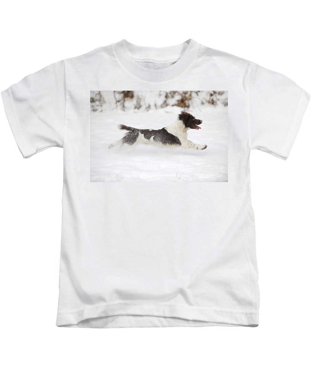 Dog Kids T-Shirt featuring the photograph English Springer Spaniel #8 by John Daniels