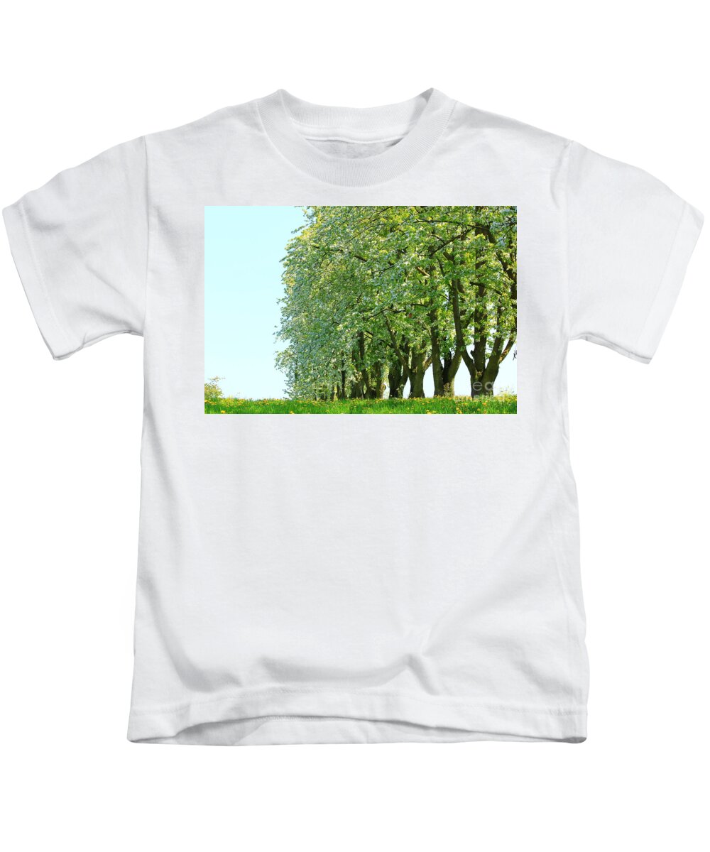 Autumn Kids T-Shirt featuring the photograph Alley of Trees by Amanda Mohler