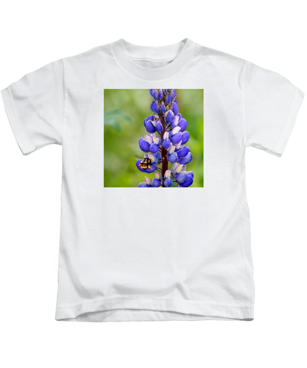 Bumble Bee Kids T-Shirt featuring the photograph Bumble Bee and Lupine by Art Block Collections