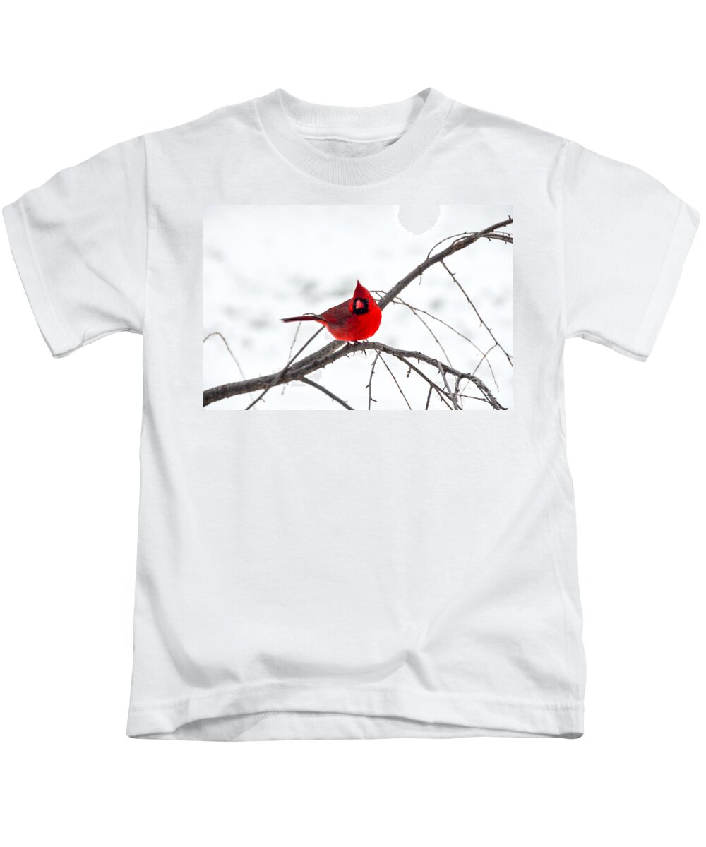 Cardinal Kids T-Shirt featuring the photograph Cardinal On A Branch by Mary Carol Story