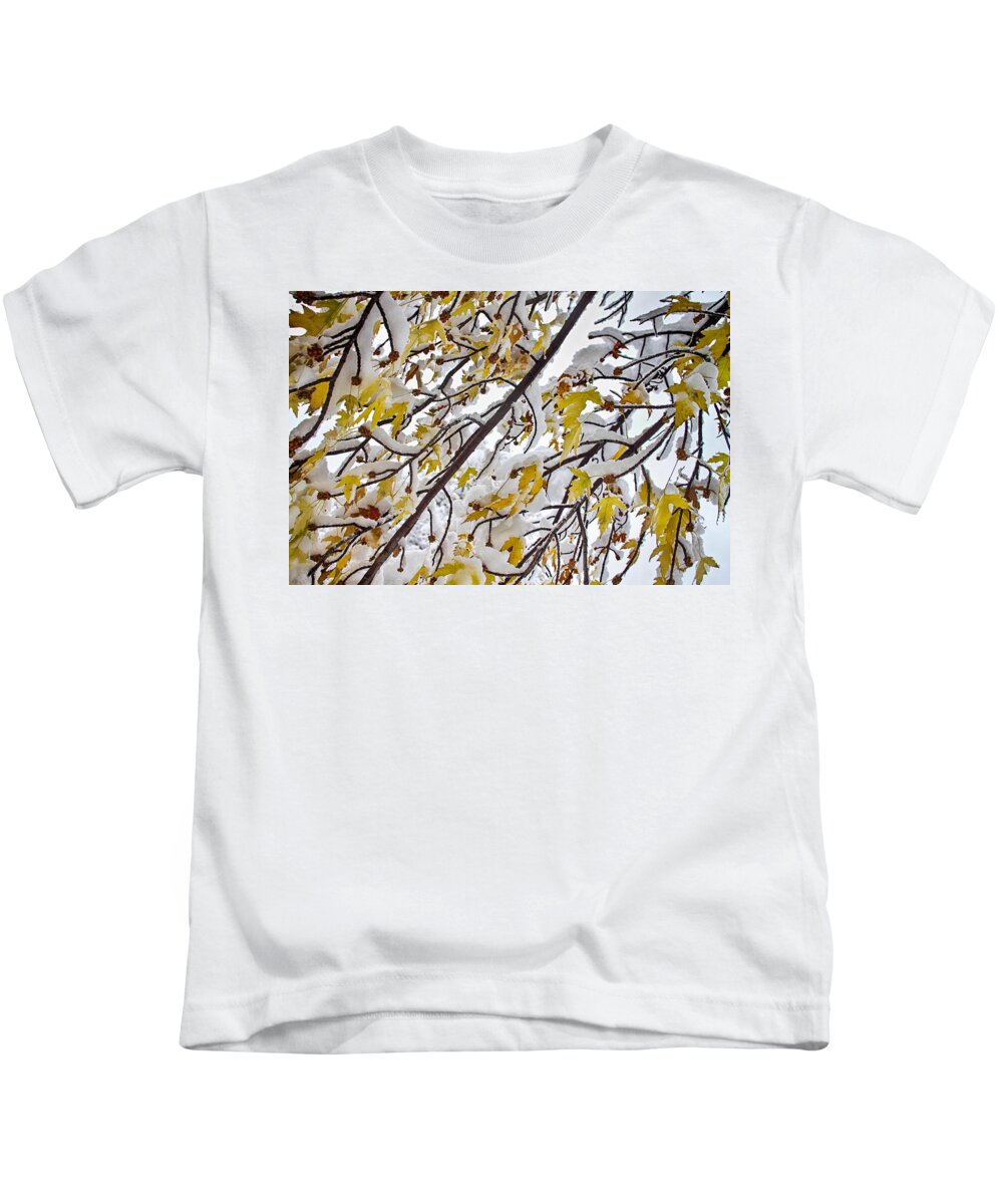 Tree Kids T-Shirt featuring the photograph Colorful Maple Tree Branches In The Snow 3 by James BO Insogna