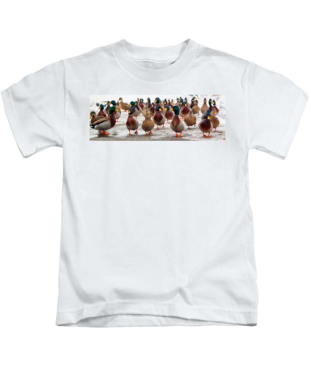Ducks Kids T-Shirt featuring the photograph DuckOrama by Bob Orsillo