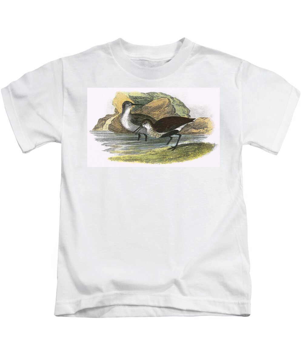 British Kids T-Shirt featuring the painting Dunlin by English School