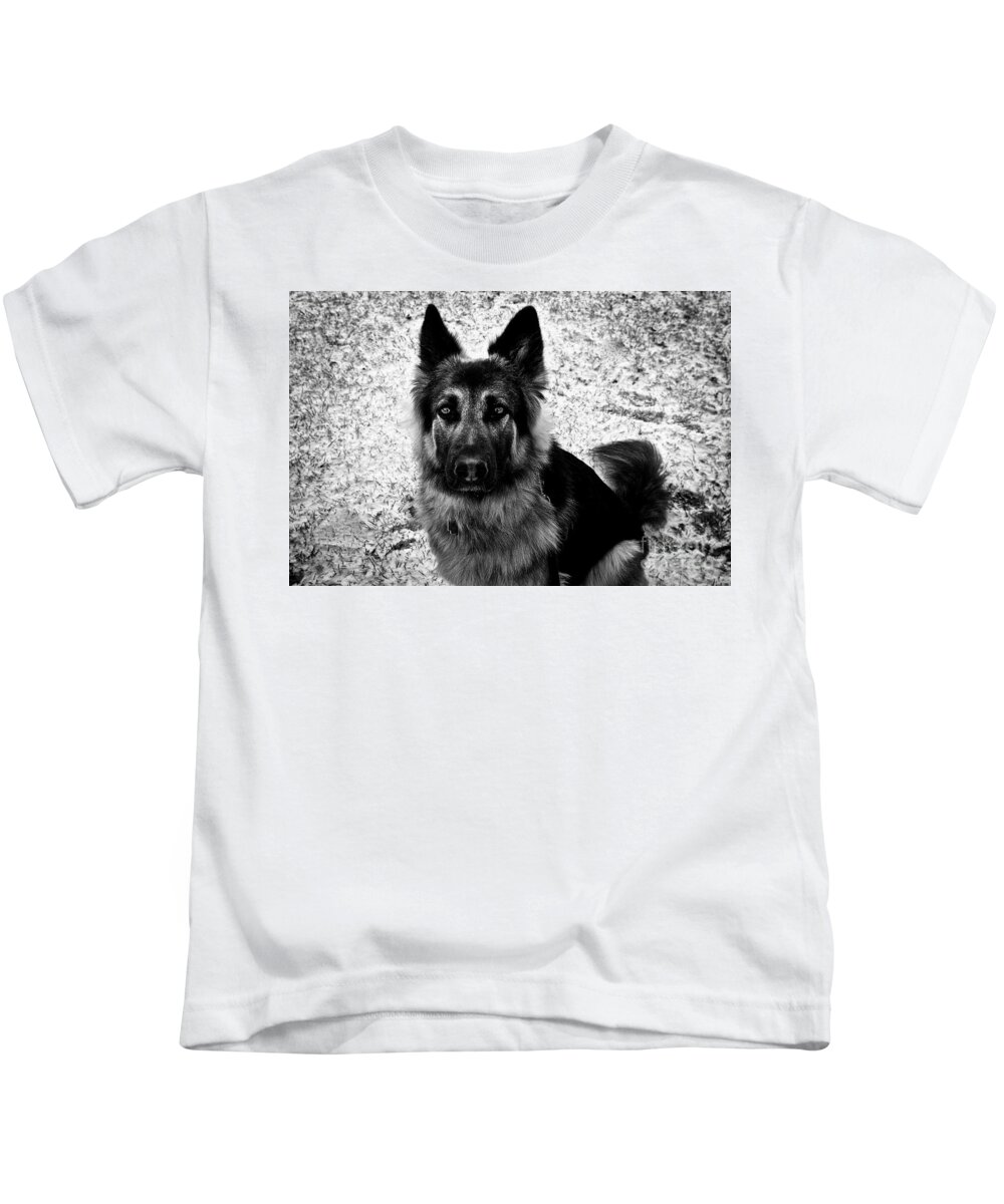 King Shepherd Dog Winter Snow Portrait Blackandwhite Eyes Frankjcasella Art Photography Kids T-Shirt featuring the photograph King Shepherd Dog - Monochrome by Frank J Casella