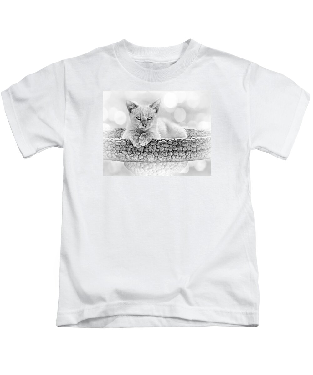 Kitten Kids T-Shirt featuring the photograph Kitty Comfort by Nikolyn McDonald