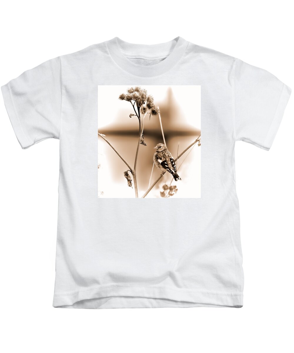 Bird Kids T-Shirt featuring the photograph Looking Sep Small brown grey yellow and black bird posing for portrait on a branch of a plant by Leif Sohlman