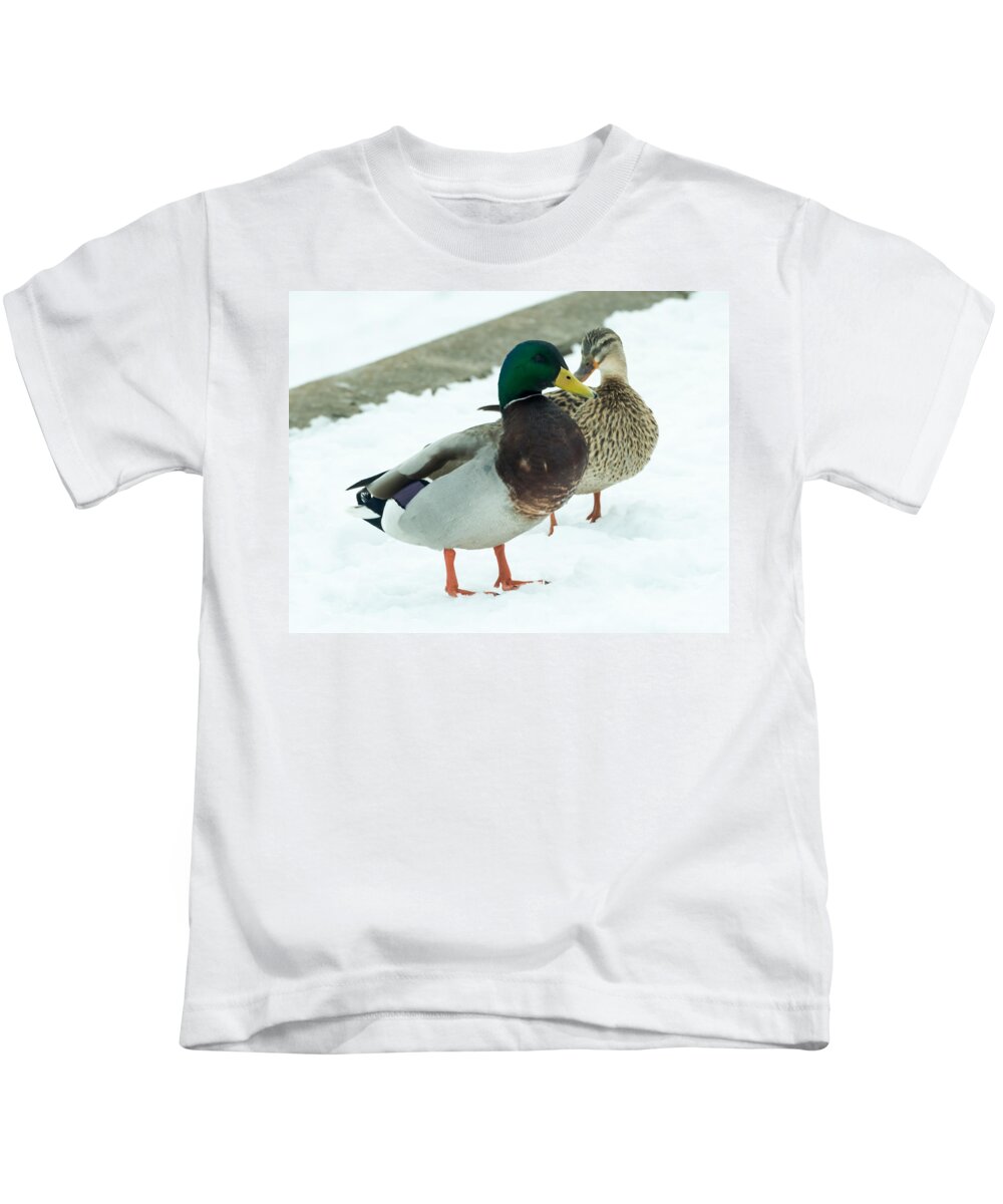 Drake Kids T-Shirt featuring the photograph Mallards in the Snow by Holden The Moment