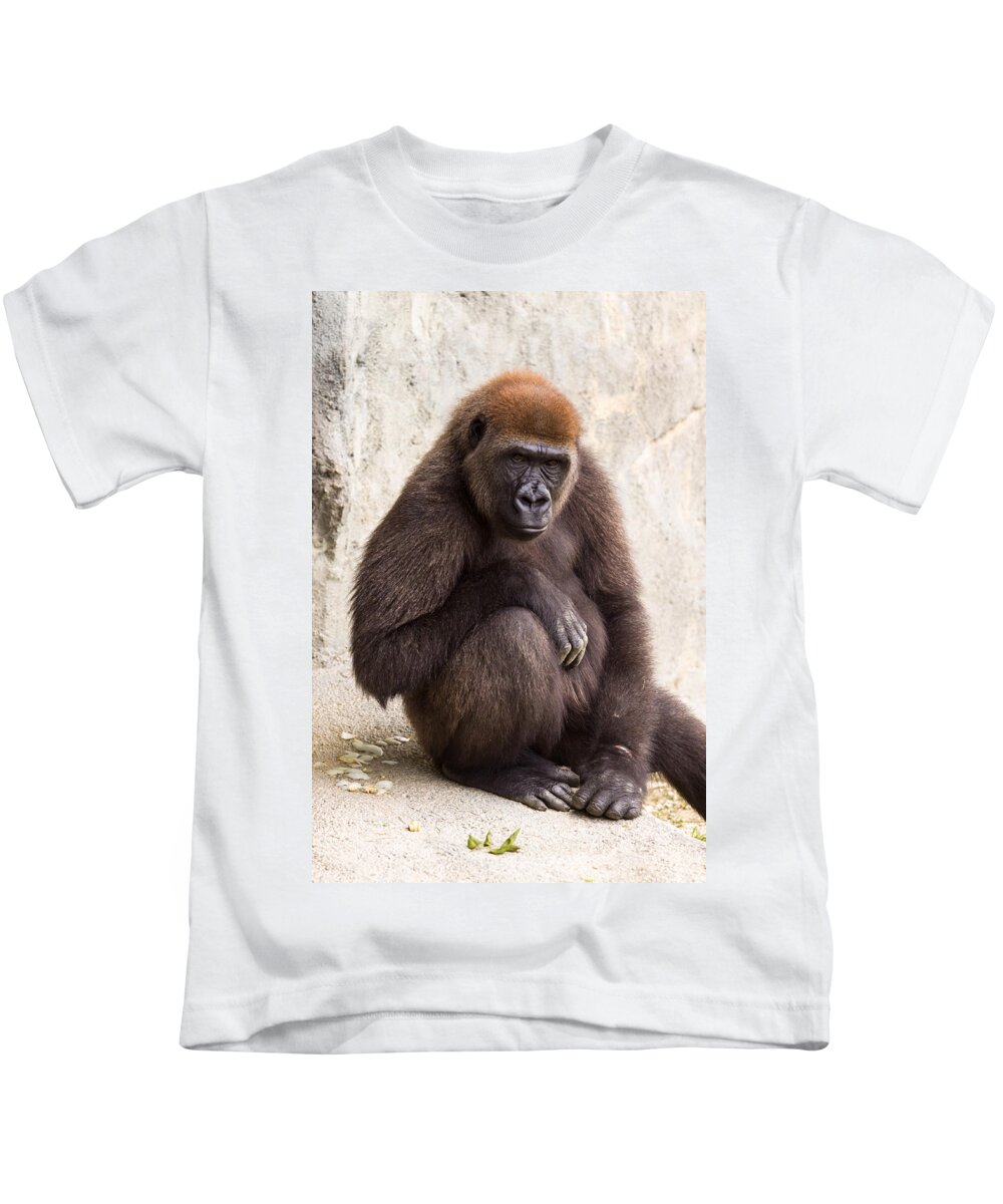 Africa Kids T-Shirt featuring the photograph Pensive Gorilla by Raul Rodriguez