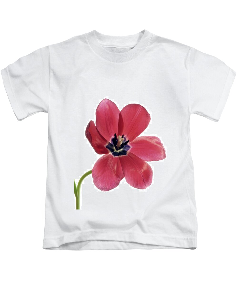 Flower Kids T-Shirt featuring the photograph Red Transparent Tulip by Phyllis Meinke