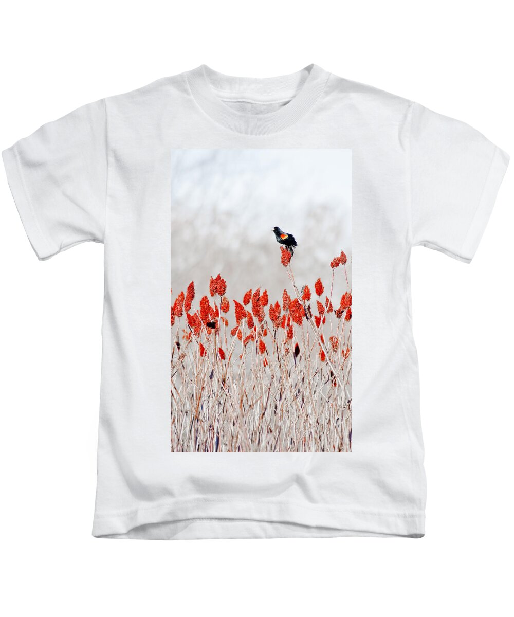 Dunns Marsh Kids T-Shirt featuring the photograph Red Winged Blackbird On Sumac by Steven Ralser