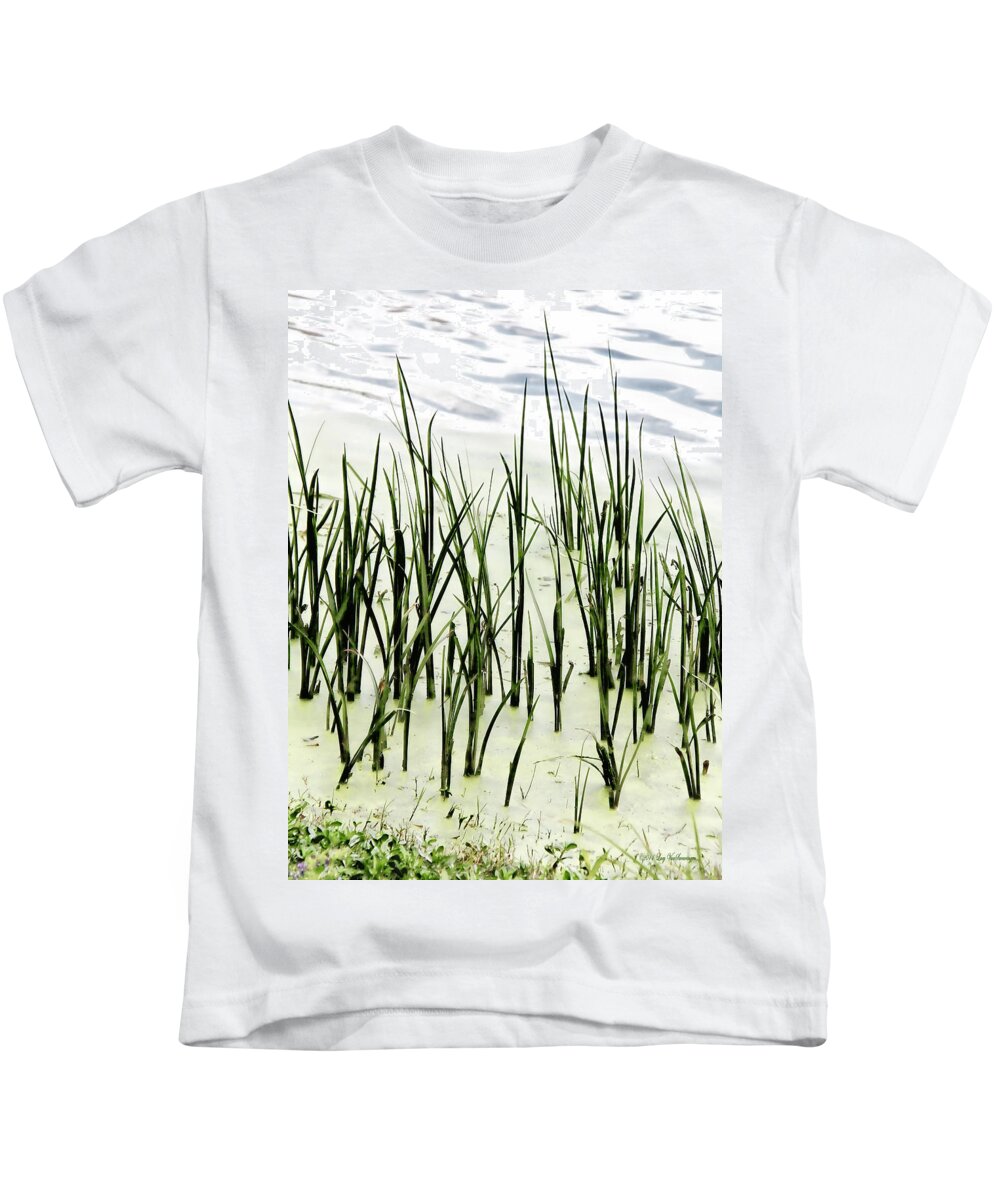 Reeds Canvas Print Kids T-Shirt featuring the photograph Slender Reeds by Lucy VanSwearingen