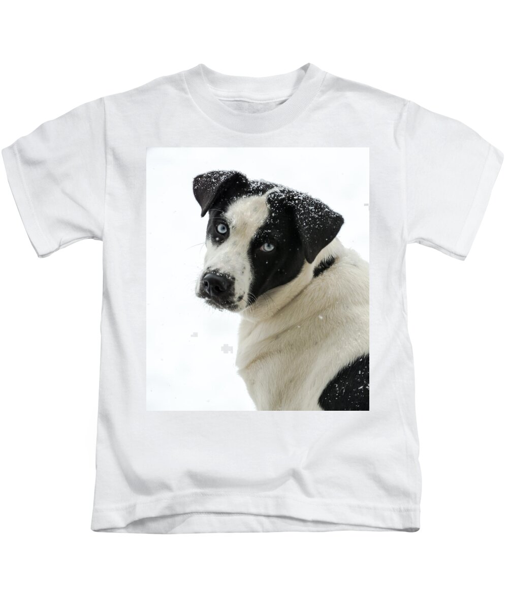 Dog Kids T-Shirt featuring the photograph Snow Puppy by Holden The Moment