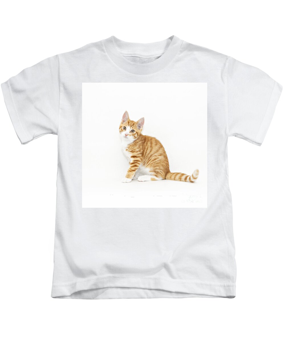 Kitten Kids T-Shirt featuring the photograph Stripy red kitten sitting down by Sophie McAulay