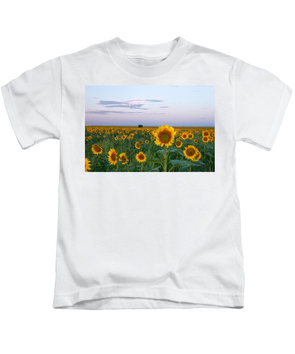 Sunflower Kids T-Shirt featuring the photograph Sunflowers at Sunrise by Ronda Kimbrow