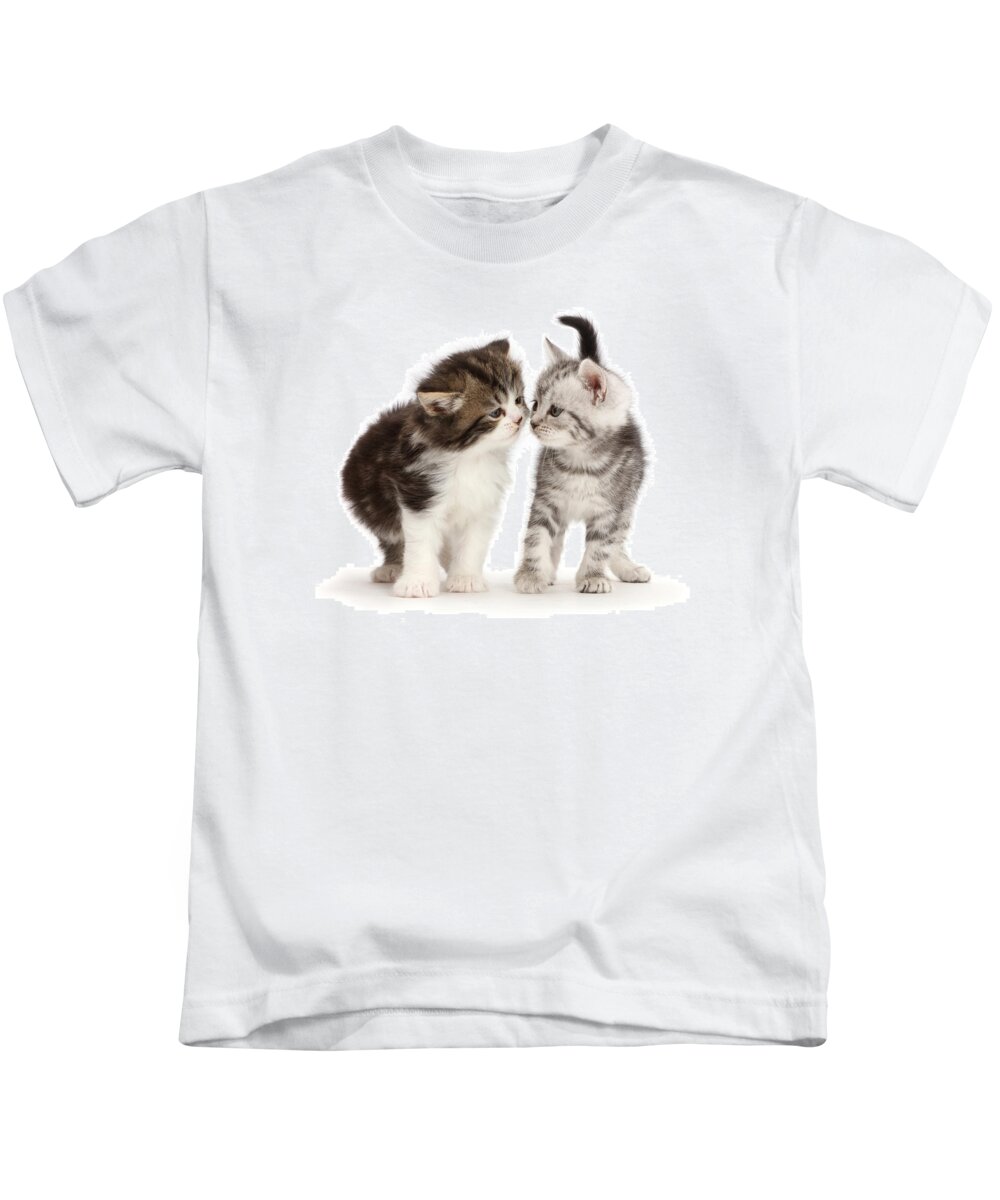 Adorable Kids T-Shirt featuring the photograph Tabby Kittens, 6 Weeks Old, Kissing by Mark Taylor