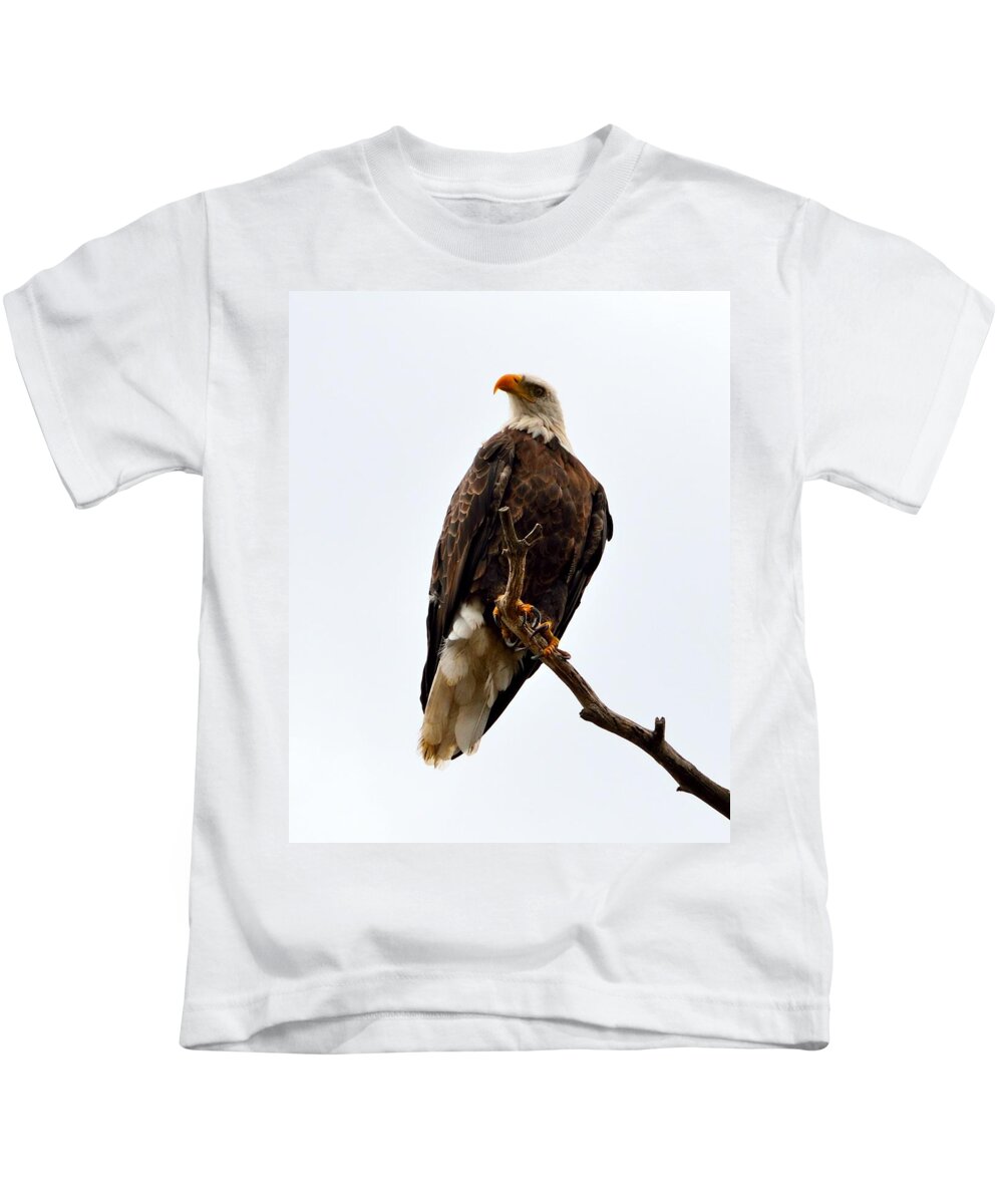 Talons Kids T-Shirt featuring the photograph Talons by Tranquil Light Photography
