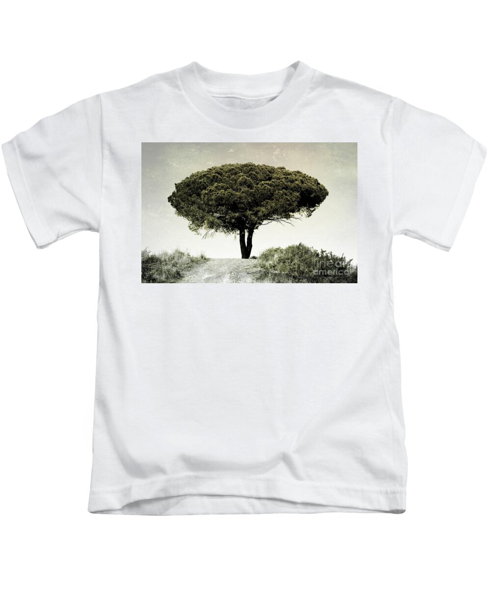 Umbrella Pine Kids T-Shirt featuring the photograph The Tree on the Top of the Hill by Clare Bevan