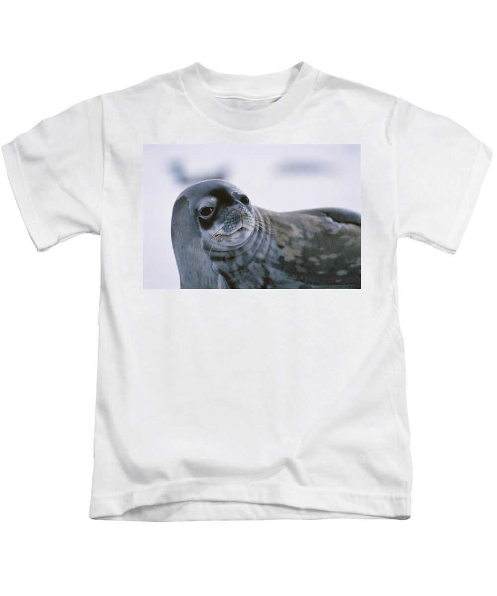 Feb0514 Kids T-Shirt featuring the photograph Weddell Seal Antarctica by Hiroya Minakuchi
