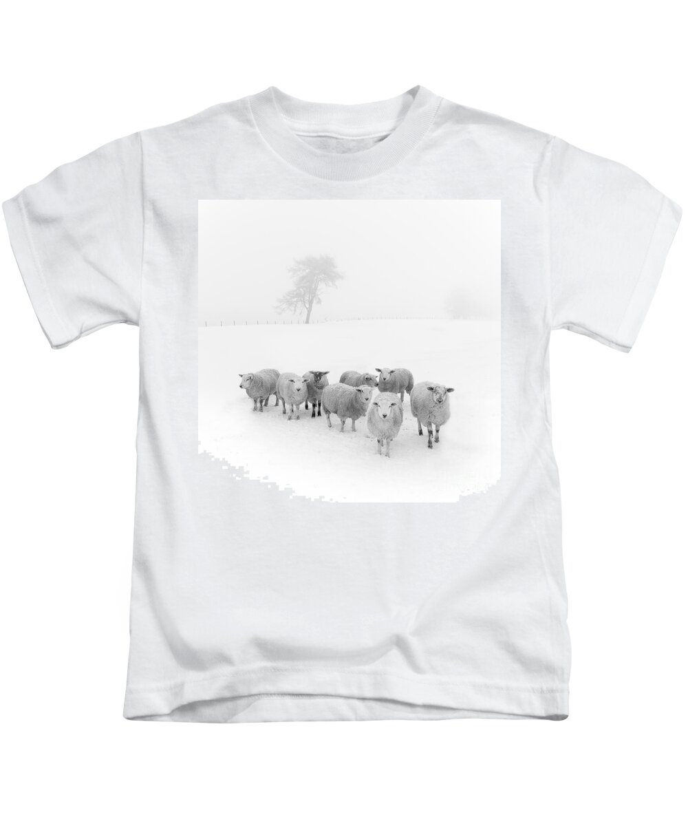 #faatoppicks Kids T-Shirt featuring the photograph Winter Woollies by Janet Burdon