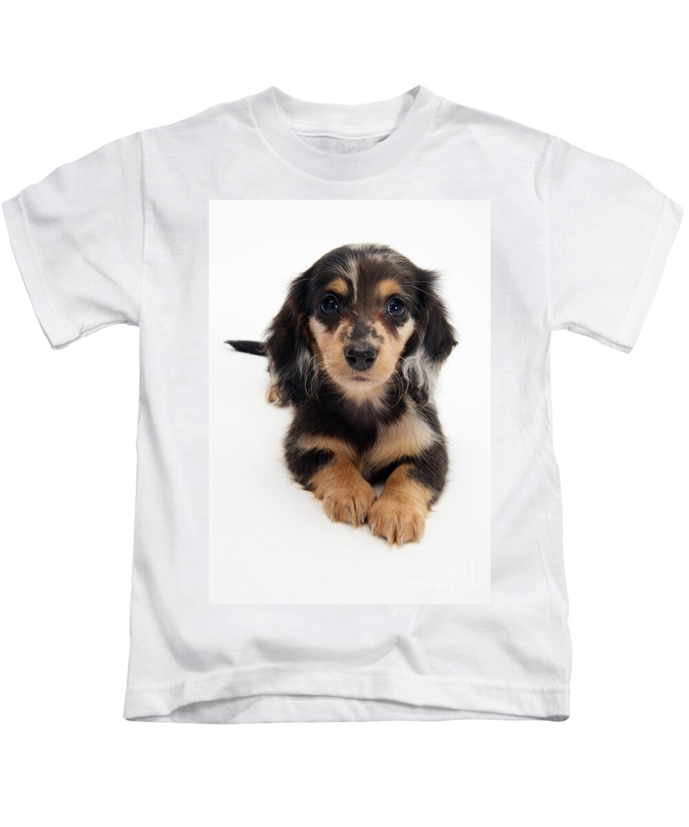 Dachshund Kids T-Shirt featuring the photograph Dachshund Pup by Jane Burton