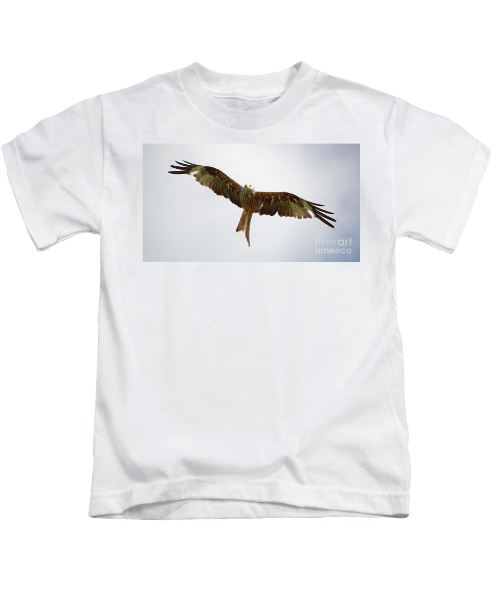 Red Kite Kids T-Shirt featuring the photograph Red Kite in flight by Maria Gaellman