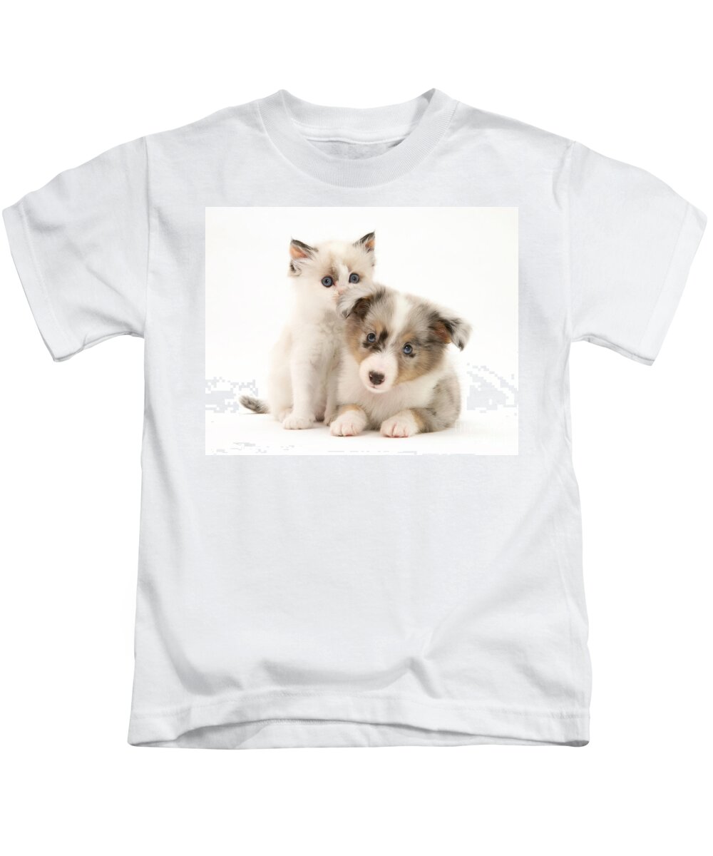Birman Kids T-Shirt featuring the photograph Kitten And Pup #45 by Jane Burton