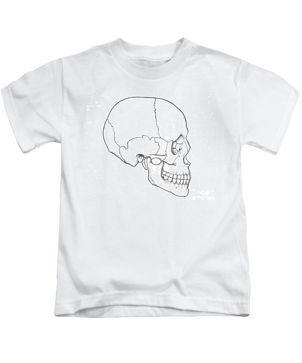 Anatomy Kids T-Shirt featuring the photograph Illustration Of Human Skull by Science Source