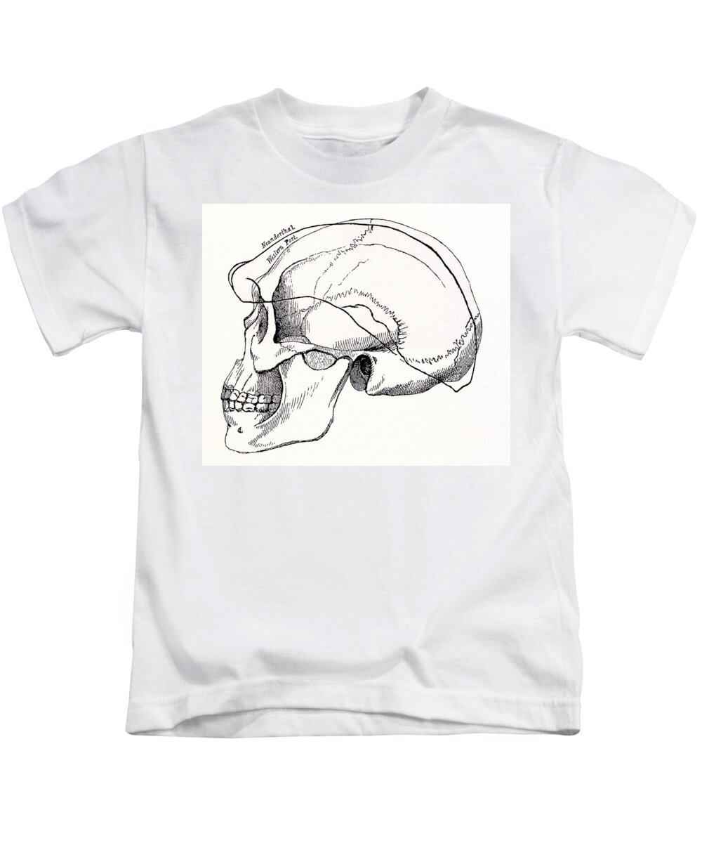Neandertal Skull Kids T-Shirt featuring the photograph Neandertal Skull by Science Source