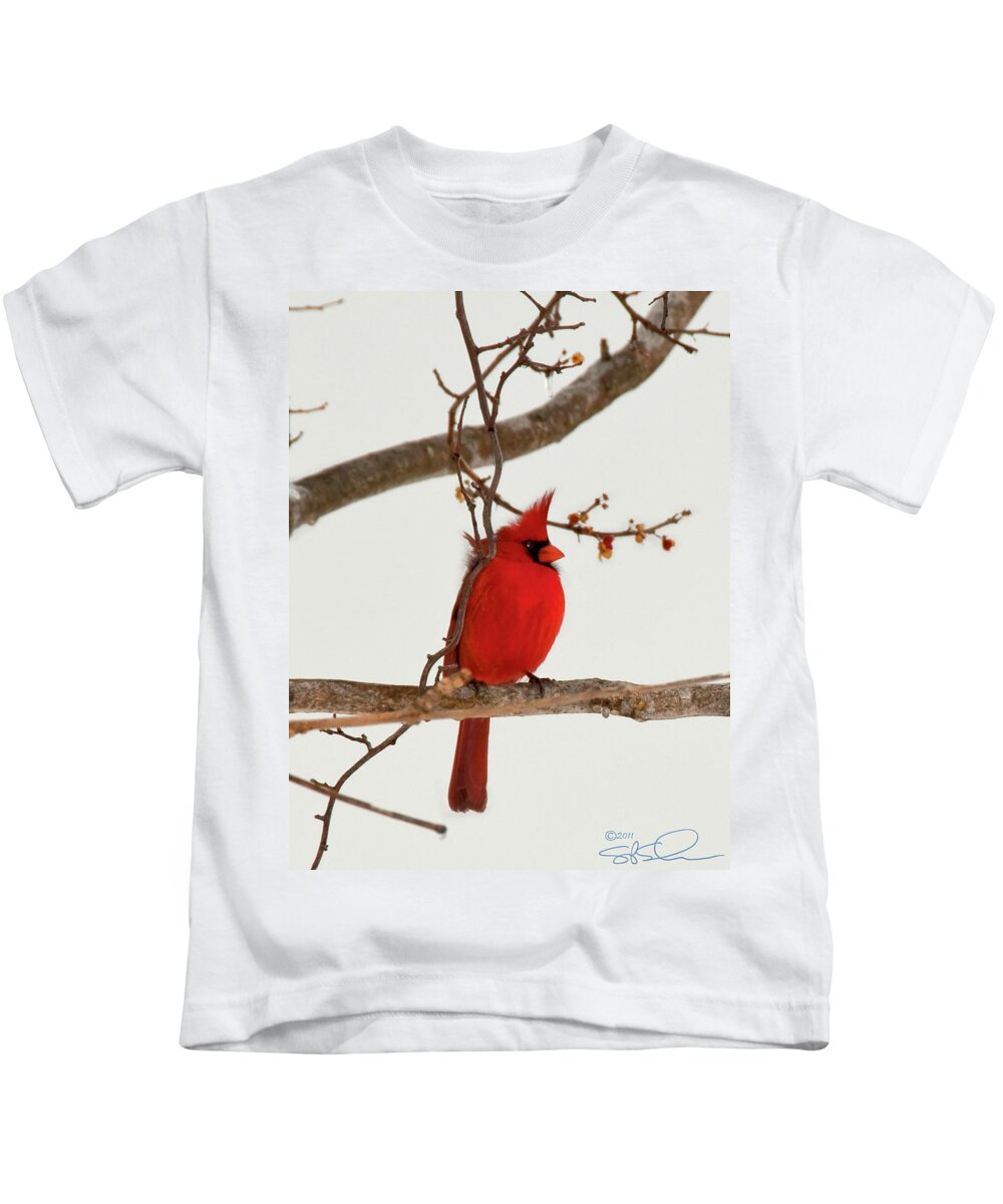 Cardinal Kids T-Shirt featuring the photograph Righteous Cardinal by S Paul Sahm