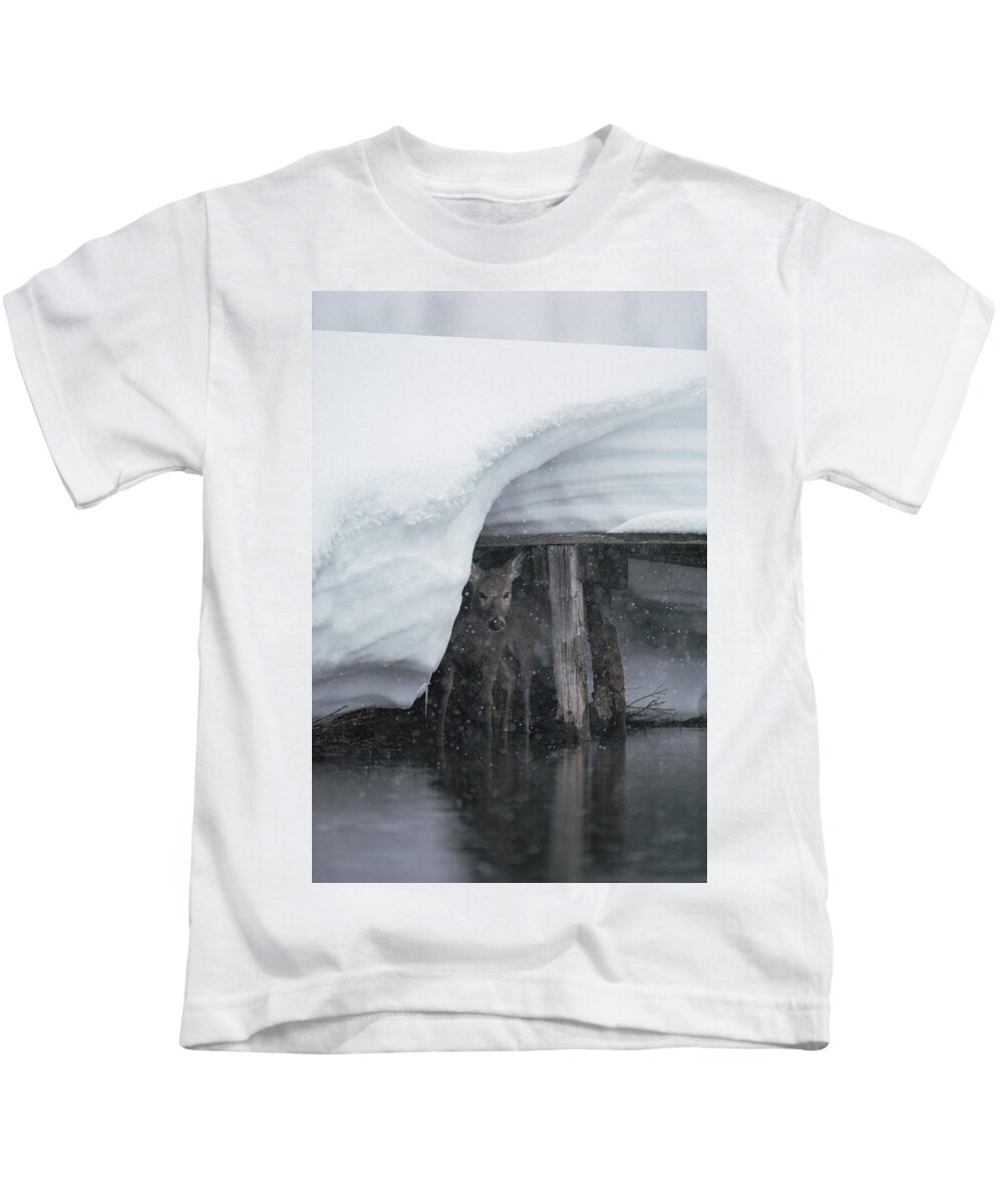 Mp Kids T-Shirt featuring the photograph White-tailed Deer Odocoileus by Michael Quinton