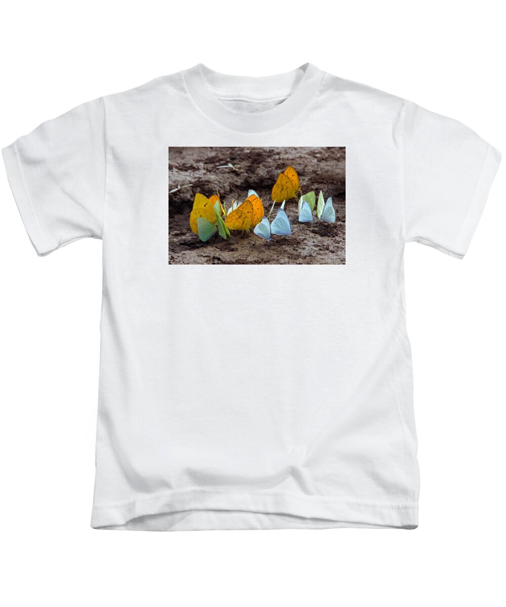 Butterflies Kids T-Shirt featuring the photograph Butterflies Eating Minerals #2 by Aivar Mikko