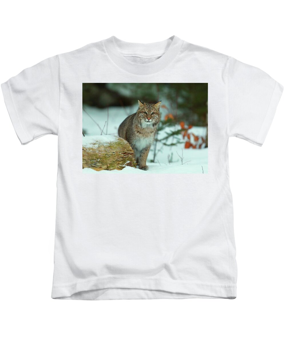 Bobcat Kids T-Shirt featuring the photograph Checking Me Out #1 by Duane Cross
