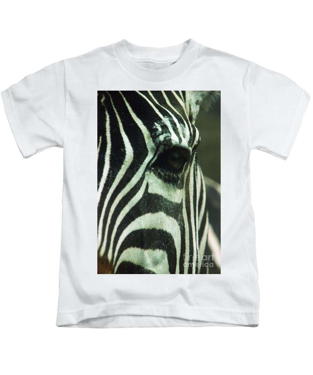 Zebra Kids T-Shirt featuring the photograph I see you #1 by Jeffery L Bowers