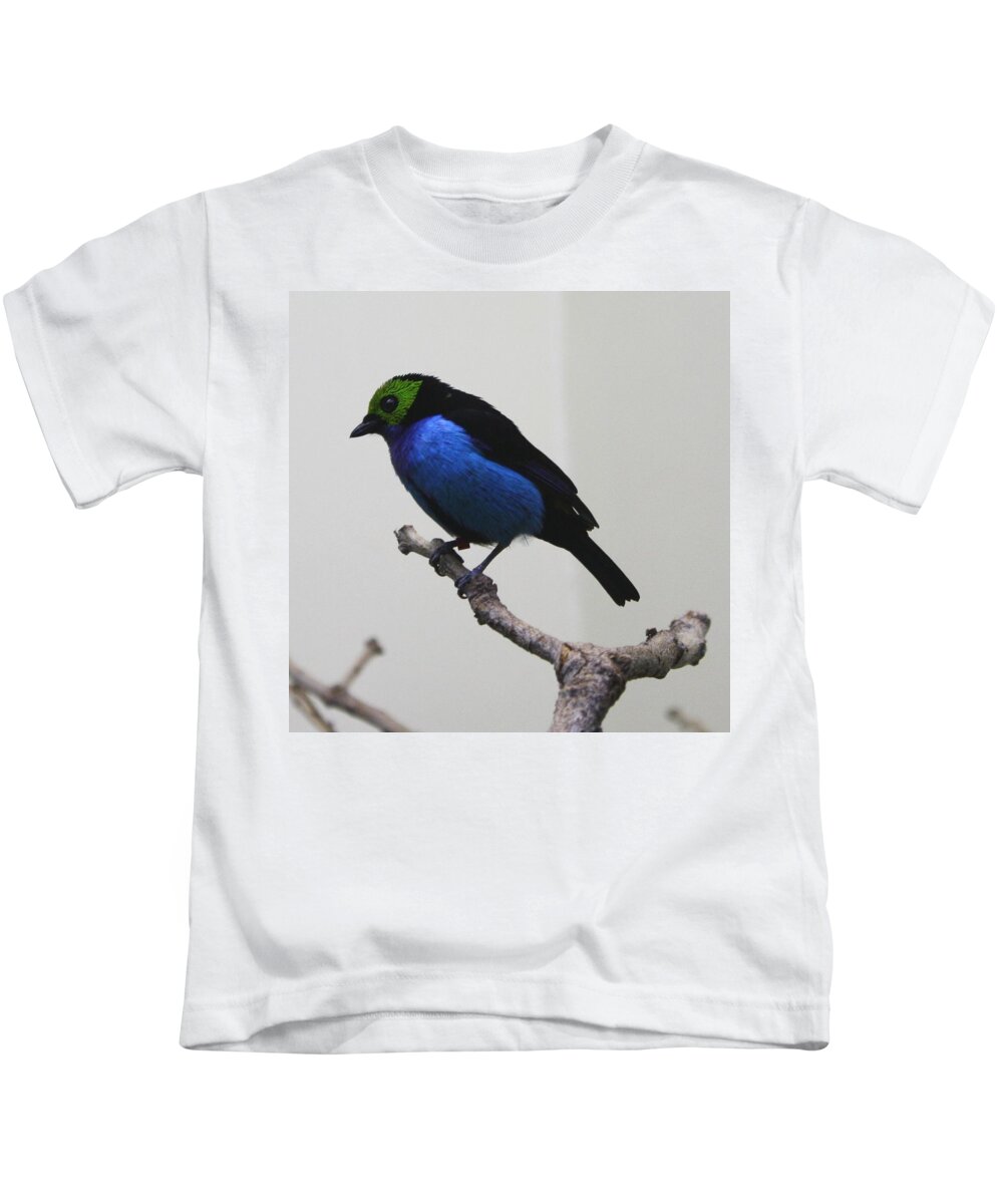 Bird Kids T-Shirt featuring the photograph Bird #14 by Jackie Russo