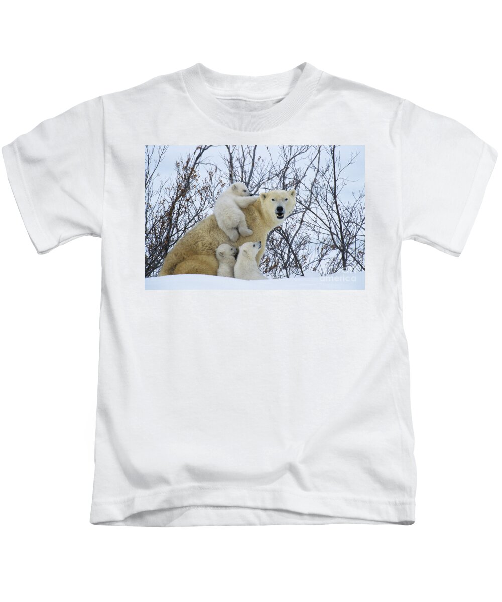 Polar Bear Kids T-Shirt featuring the photograph Polar Bear And Cubs #1 by Jean-Louis Klein and Marie-Luce Hubert