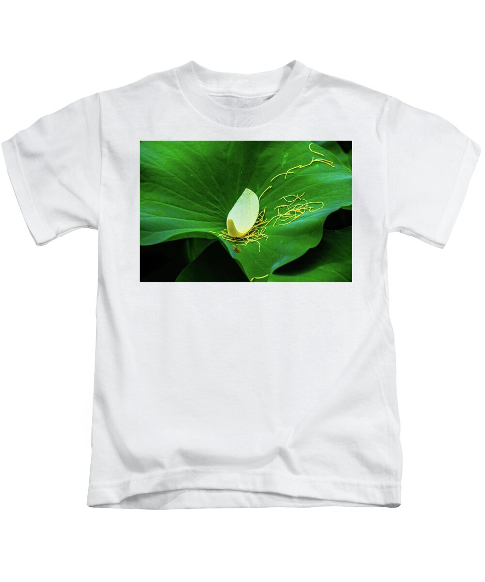 Bloom Kids T-Shirt featuring the photograph Abstract Leaves of Green and Yellow by Dennis Dame