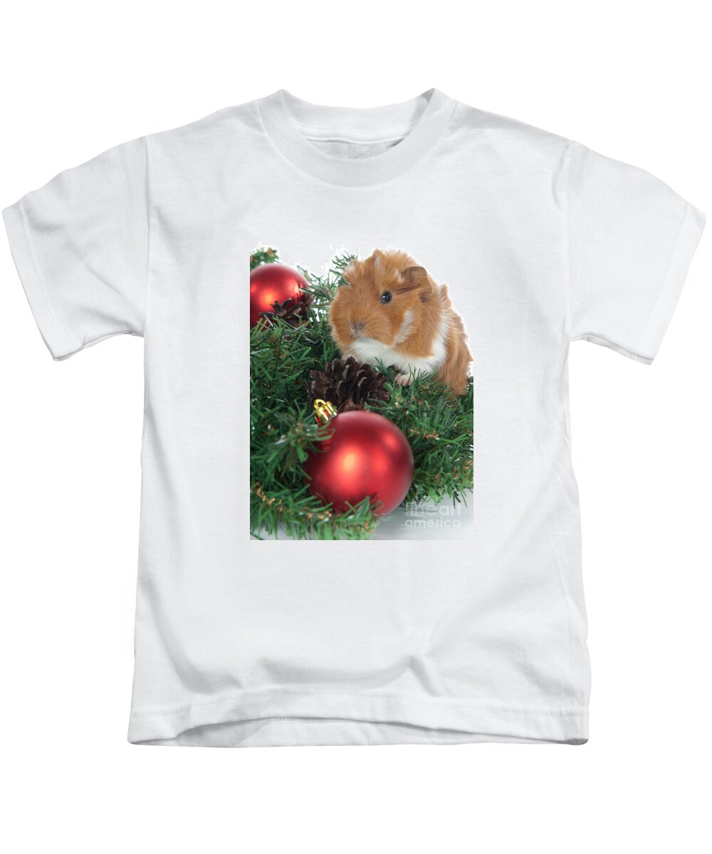 Abyssinian Guinea Pig Kids T-Shirt featuring the photograph Abyssinian Guinea Pigs Cavia porcellus for Christmas by Anthony Totah