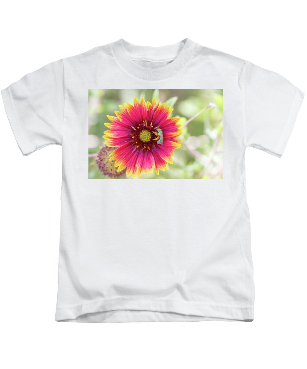 Bee Kids T-Shirt featuring the photograph Agapostemon by The Flying Photographer