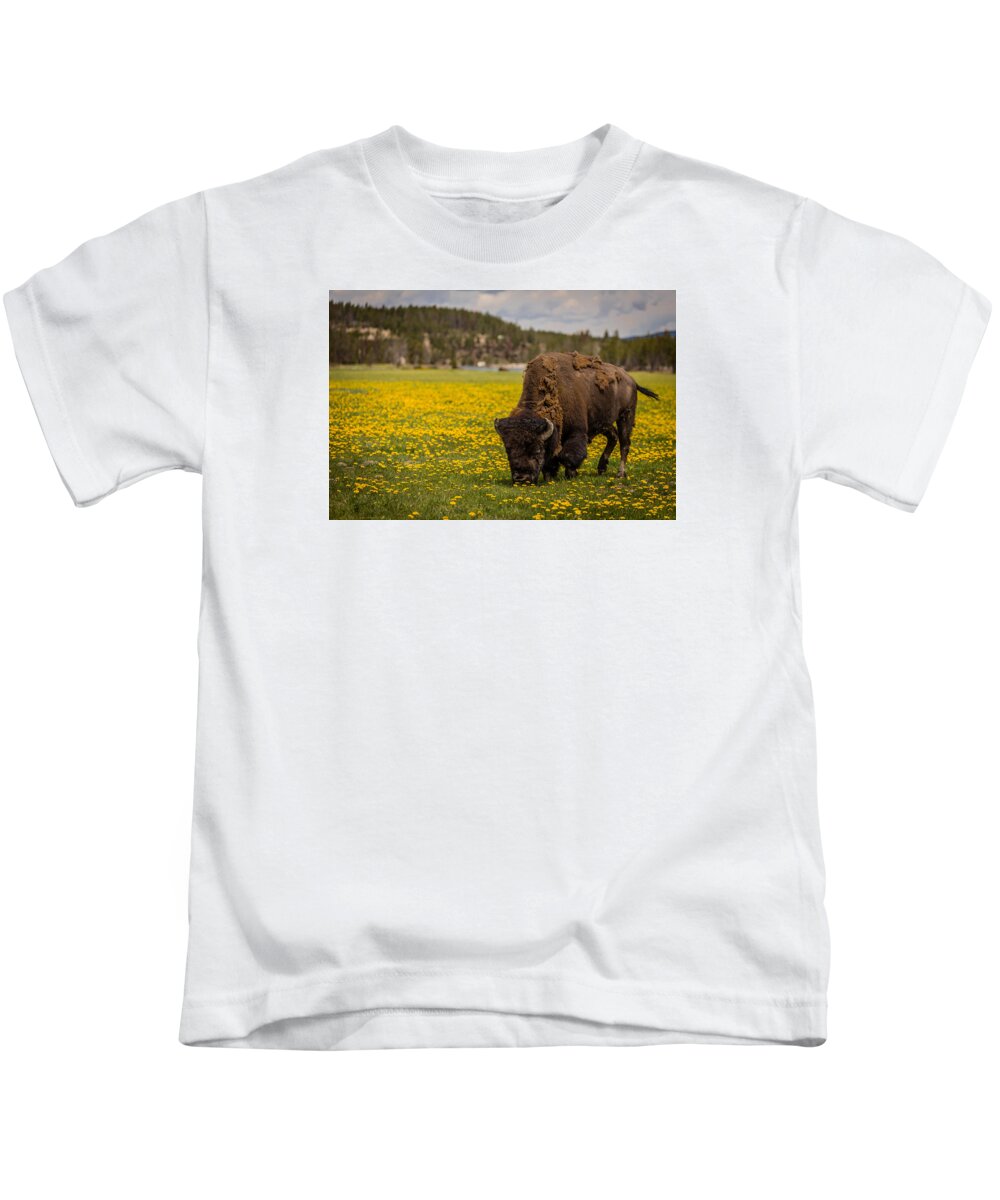 Love Kids T-Shirt featuring the photograph American Bison by Gary Migues