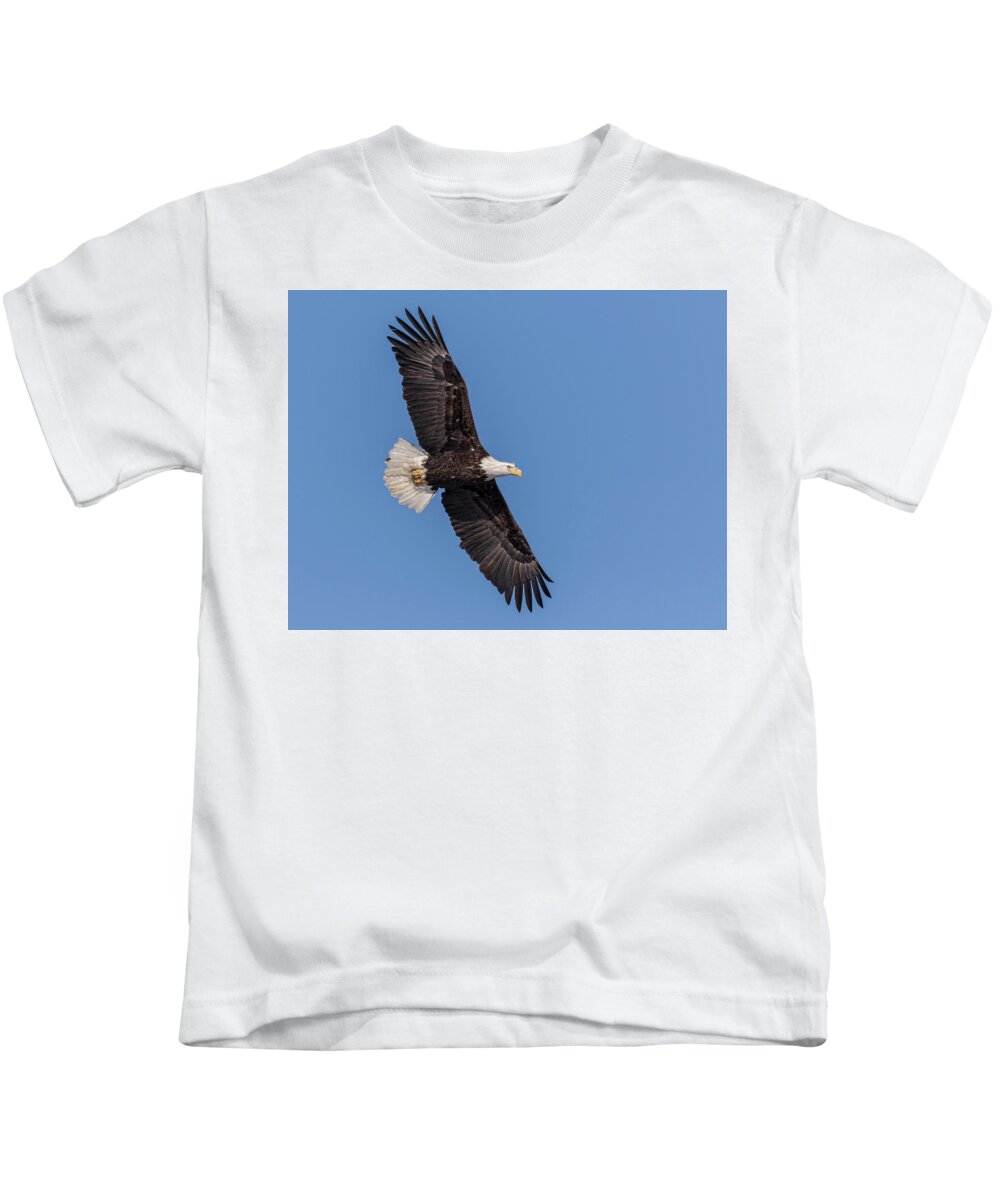American Bald Eagle Kids T-Shirt featuring the photograph Bald Eagle 2018-1 by Thomas Young