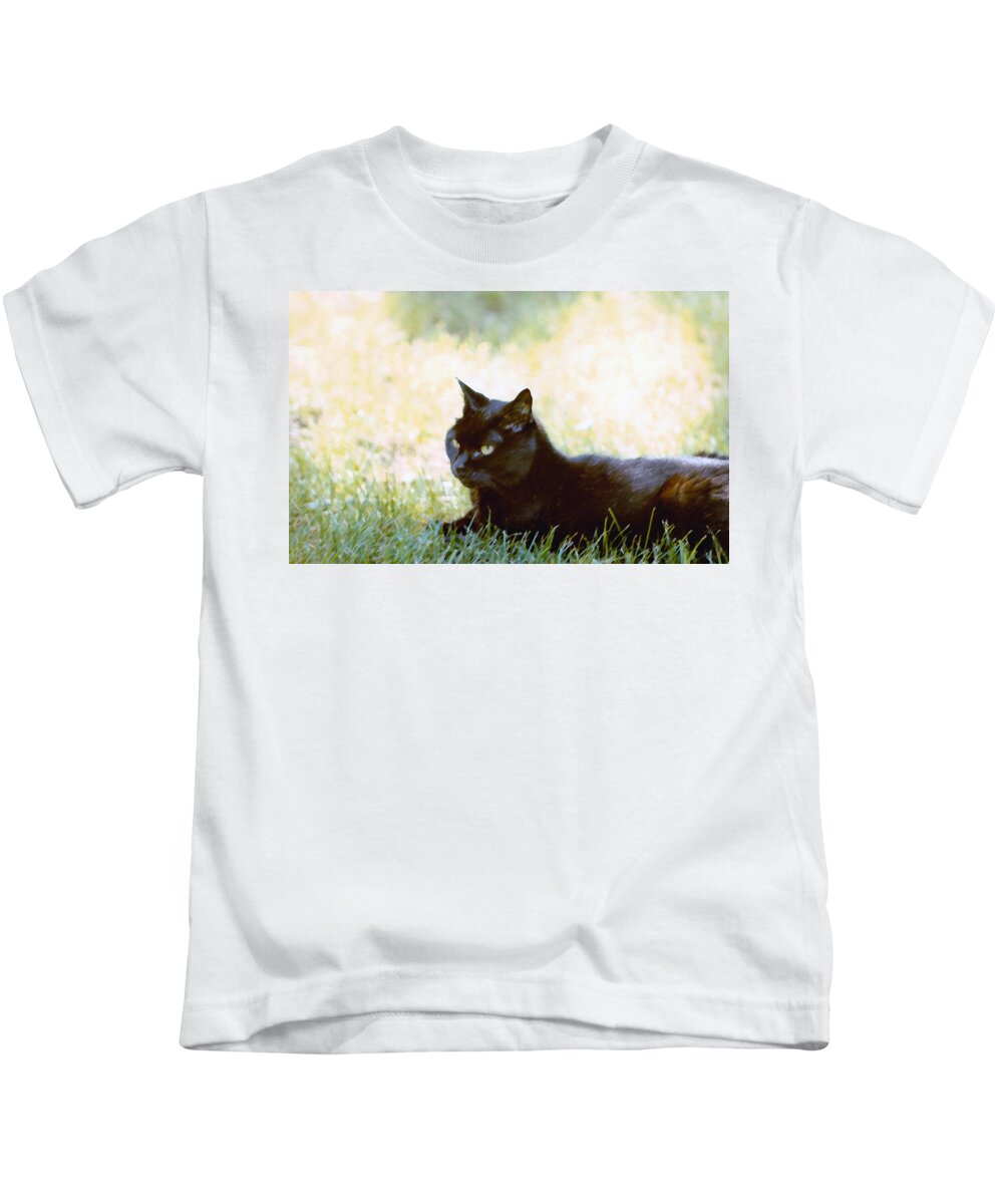 Black Cat Kids T-Shirt featuring the photograph Black Cat in the Sun by Geoff Jewett