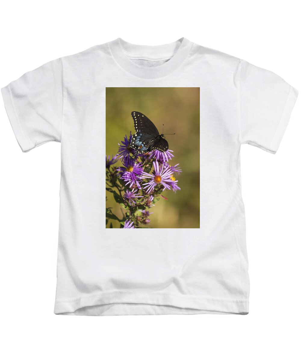 Black Swallowtail Kids T-Shirt featuring the photograph Black Swallowtail and Aster 2013-1 by Thomas Young
