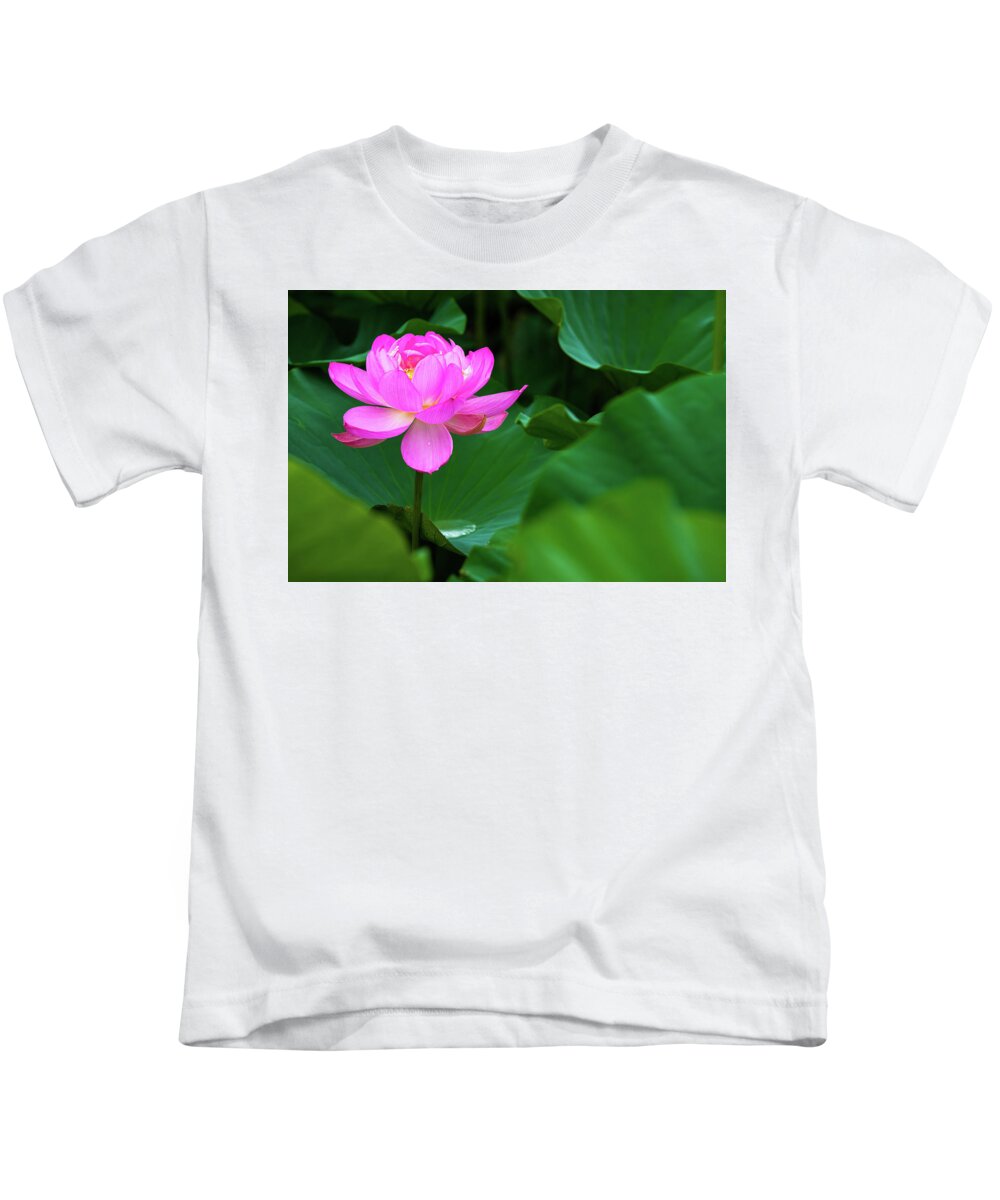 Bloom Kids T-Shirt featuring the photograph Blooming Pink Lotus Lily by Dennis Dame
