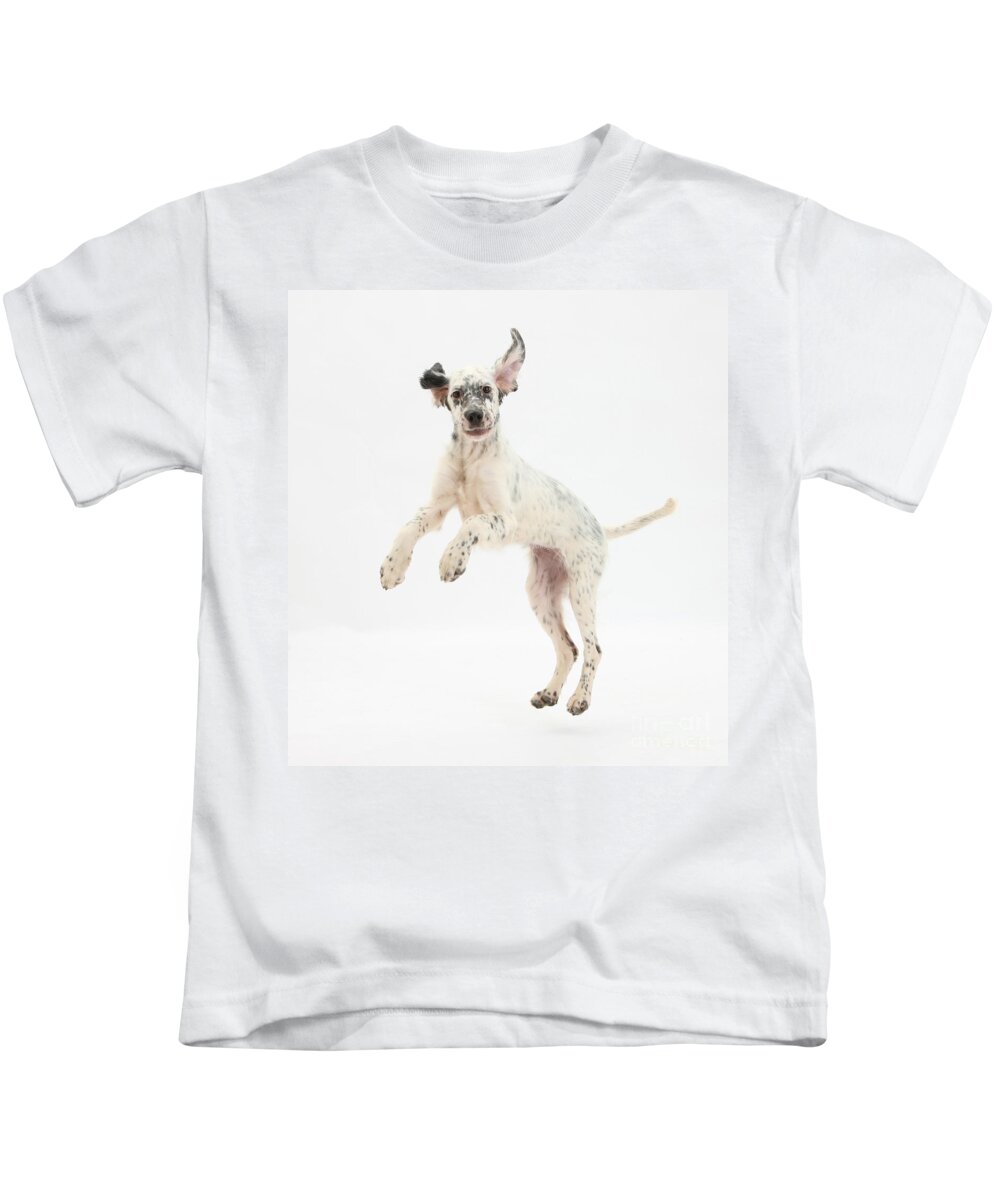 Dog Kids T-Shirt featuring the photograph Blue Belton English Setter by Mark Taylor