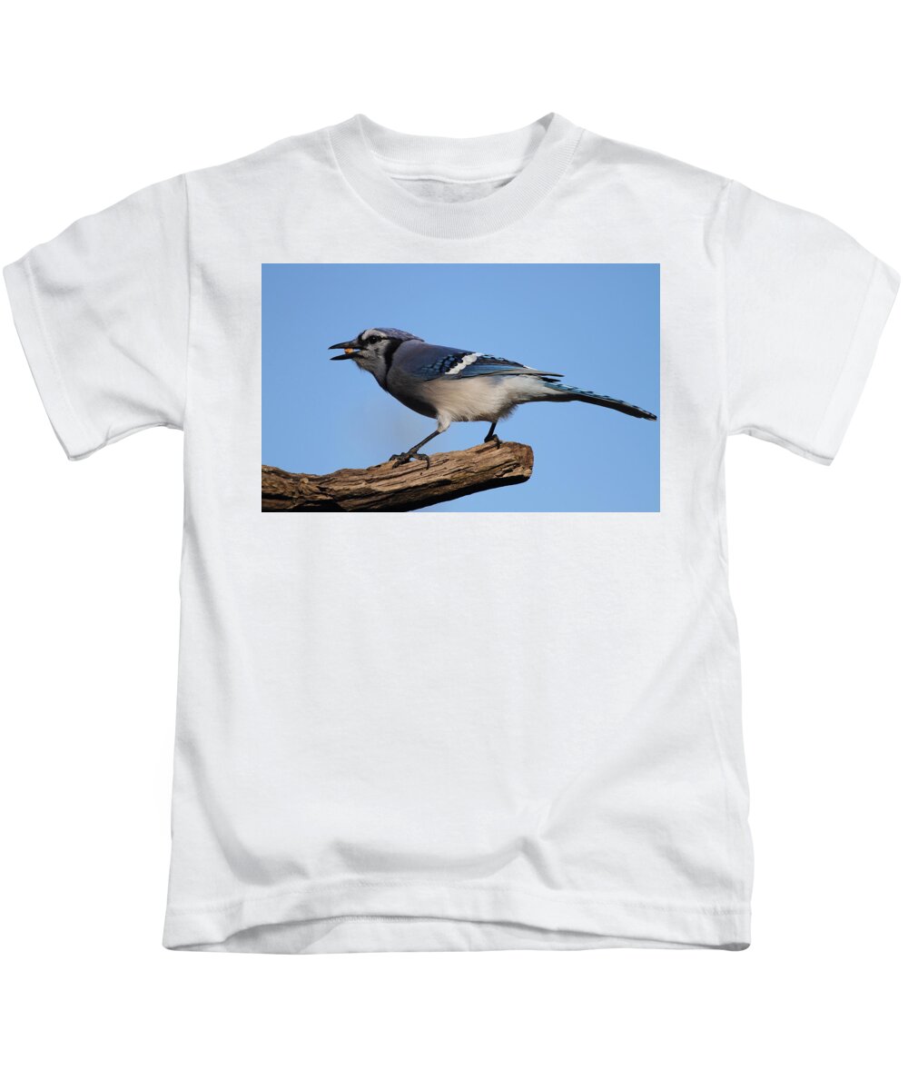 Blue Jay Kids T-Shirt by Jackie Russo - Mobile Prints