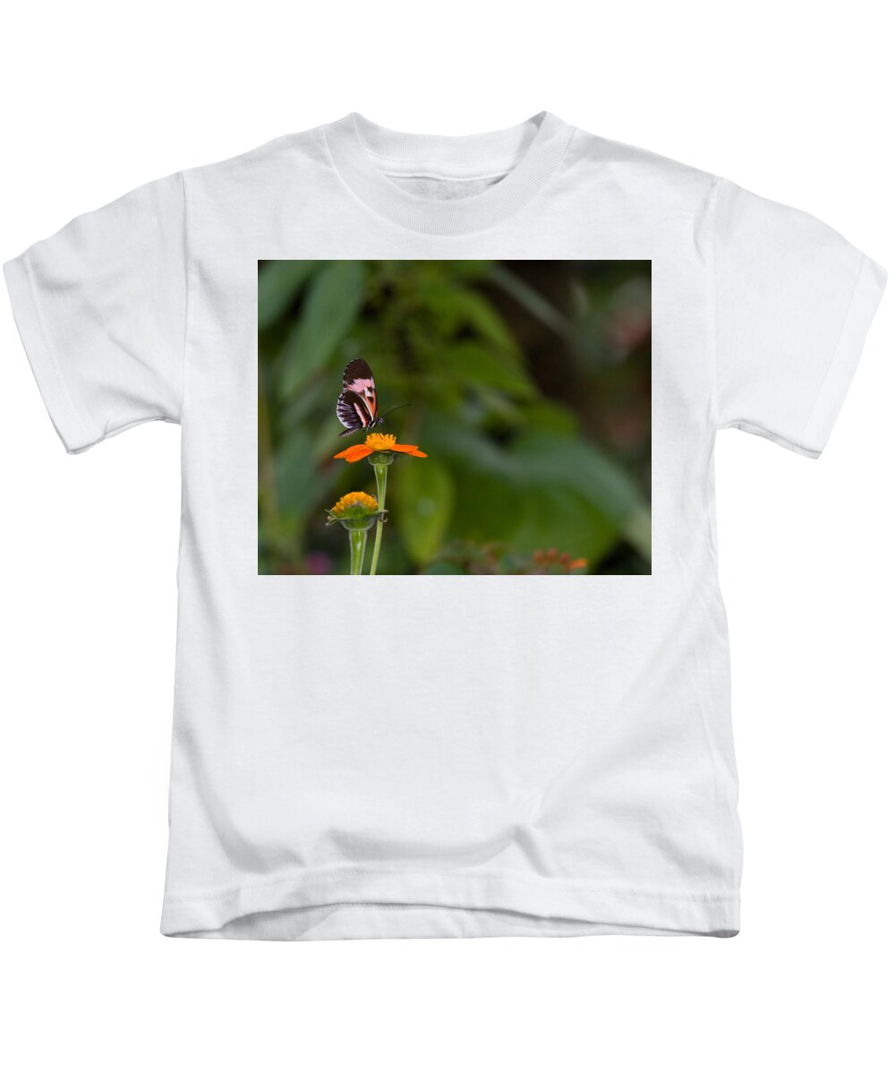 Butterfly Kids T-Shirt featuring the photograph Butterfly 26 by Michael Fryd